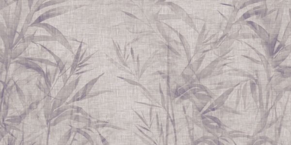 Ginseng - immagine 3