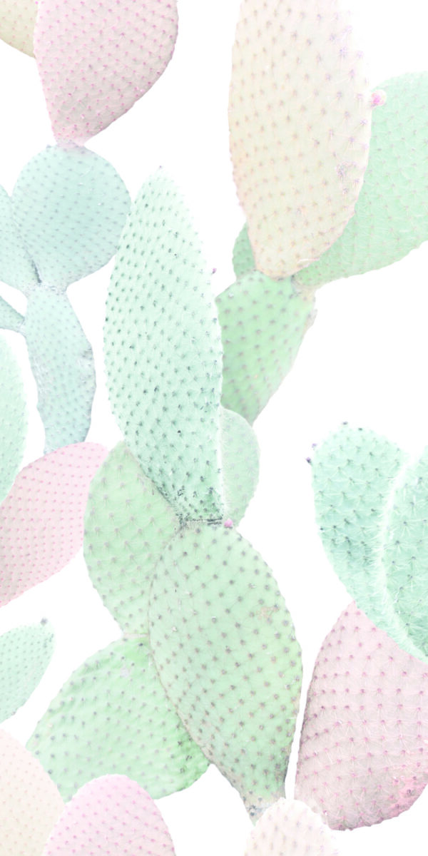 Paper41 Pro | Marcela