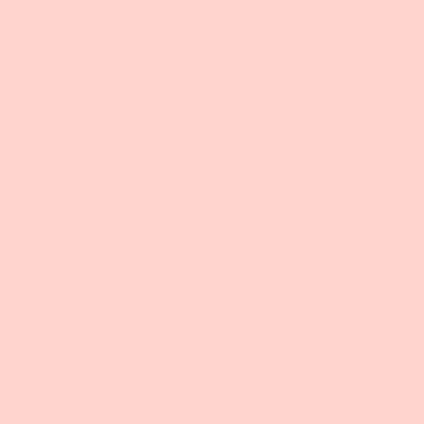Pixel41 | Rose