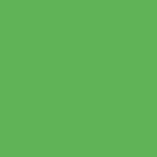 Pixel41 | Frog