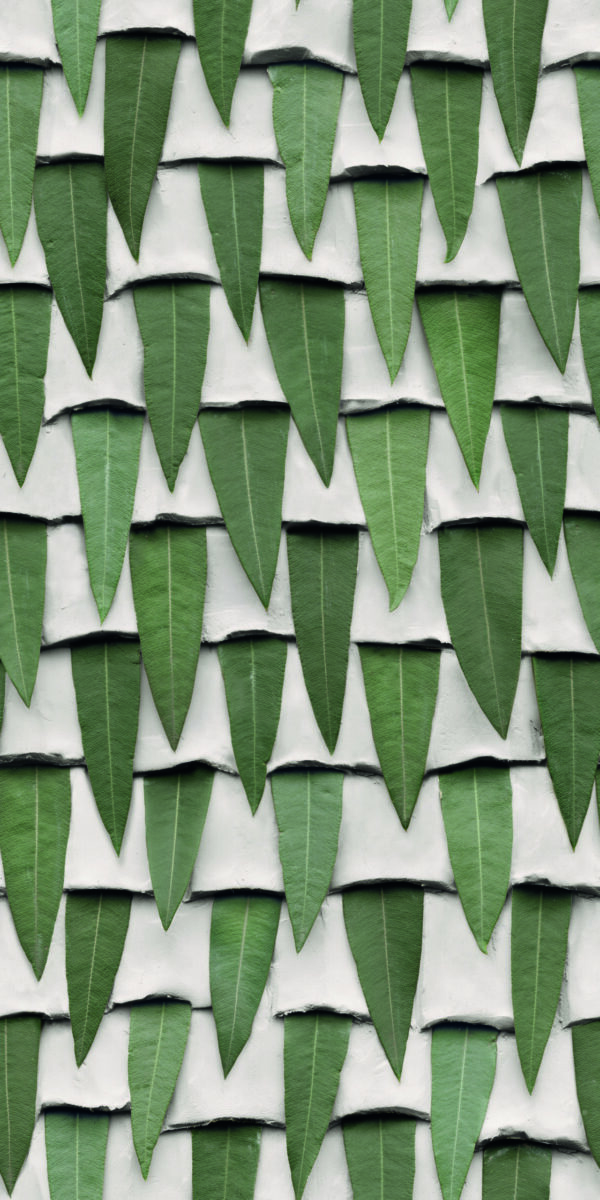 Paper41 Pro | Silvi