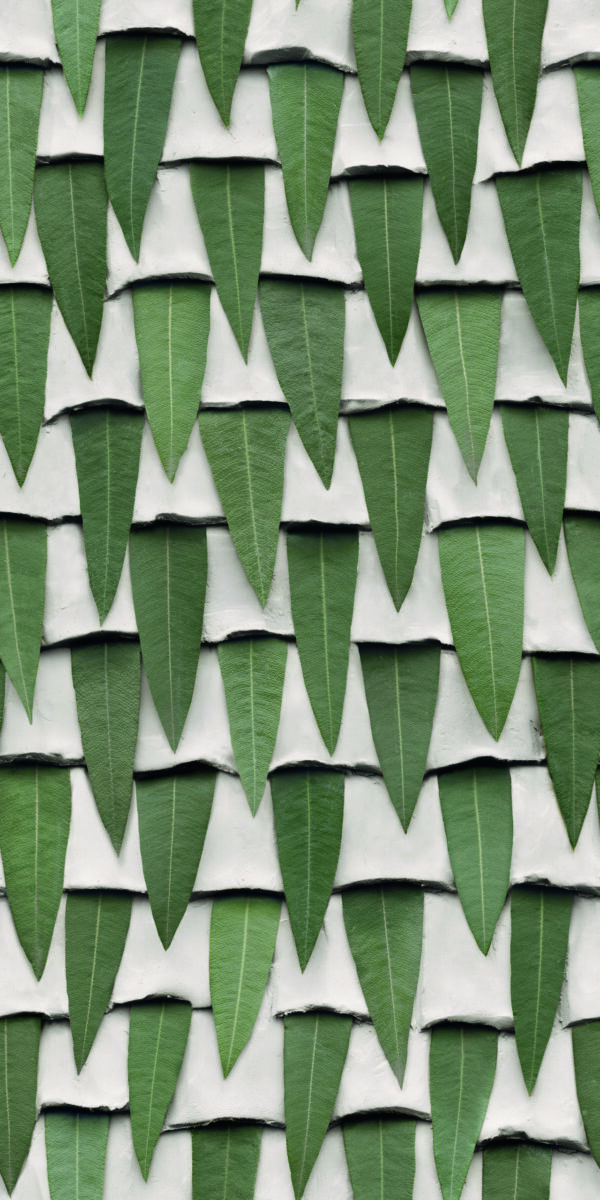 Paper41 Pro | Silvi - immagine 2